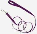 Coastal Single-Ply Nylon Dog Leash Purple 1ea 5 8 In X 6 ft Online