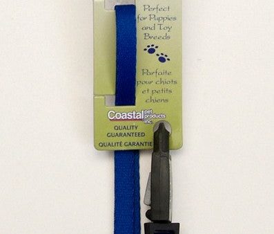 Lil Pals Nylon Dog Leash with E-Z Snap Blue 1ea 3 8 In X 6 ft Supply