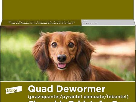 Bayer Quad Dewormer 22.7Mg 4Ct. Small Dog Online now