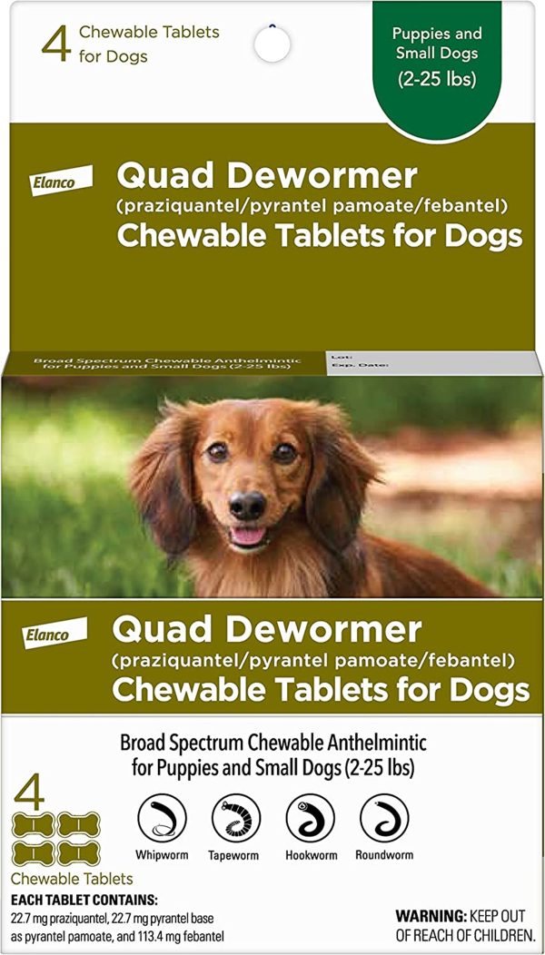 Bayer Quad Dewormer 22.7Mg 4Ct. Small Dog Online now