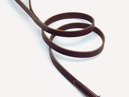 Circle T Latigo Leather Dog Leash Brown 1ea 3 4 In X 6 ft For Cheap