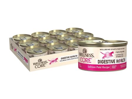 Wellness Cat Core Digestive Health Salmon Pate 3oz. (Case of 12) Cheap