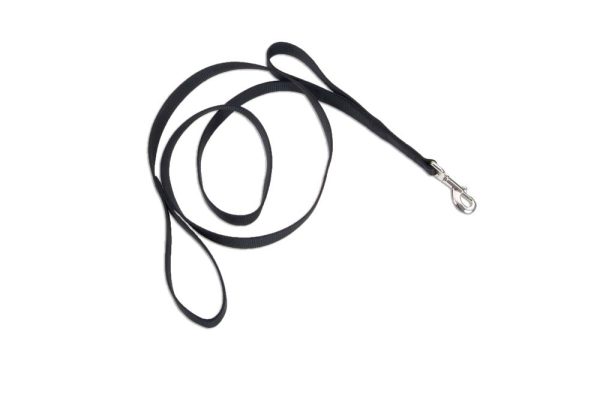 Loops 2 Double Handle Nylon Dog Leash Black 1ea 1 In X 6 ft Supply