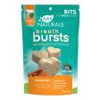 Ark Naturals Dog Breath Bursts Cinnamon Bits 4oz. Online