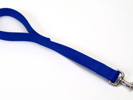 Coastal Double-Ply Nylon Traffic Dog Leash Blue 1ea 1 In X 24 in Supply