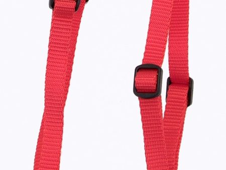 Coastal Standard Adjustable Nylon Dog Harness Red 1ea SM, 5 8In X 14-24 in Hot on Sale