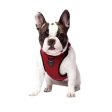 Canada Pooch Dog Everything Harness Mesh Red LG Online Hot Sale