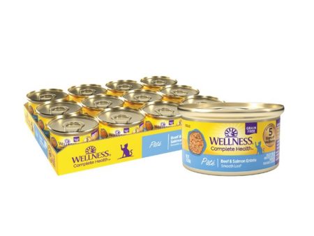 Wellness Cat Grain-free Beef Salmon Pate Complete Health 3oz. (Case of 24) For Sale