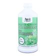 Pure-Le Natural Liquid Greens Chlorophyll Super Concentrate Mint Hot on Sale