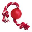 KONG Ball with Rope Small Online