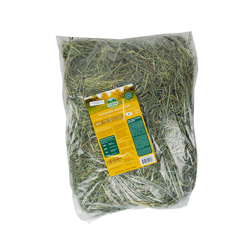 Oxbow Orchard Grass Hay Supply