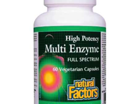 Natural Factors Multi Enzyme High Potency Full Spectrum For Cheap